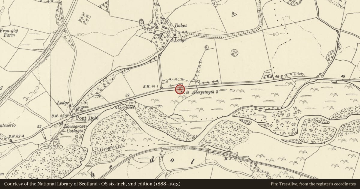 Ordnance Survey six-inch map, 2nd edition (1888–1913) covering the location of Milestone on A44, Faenor, Ceredigion, with a pin at the register's coordinates