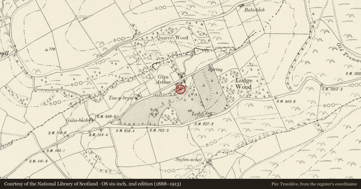 Ordnance Survey six-inch map, 2nd edition (1888–1913) covering the location of Glyn Arthur, Llandyrnog, Denbighshire, with a pin at the register's coordinates