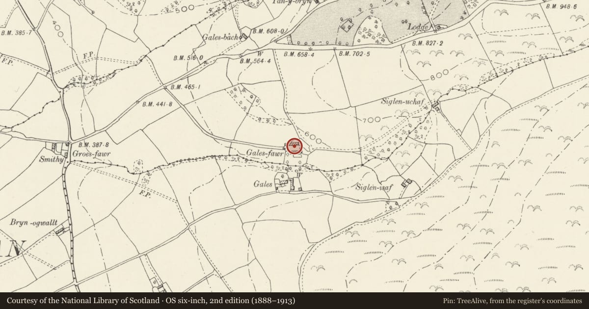 Ordnance Survey six-inch map, 2nd edition (1888–1913) covering the location of Farmyard Range at Gales-fawr, Llandyrnog, Denbighshire, with a pin at the register's coordinates