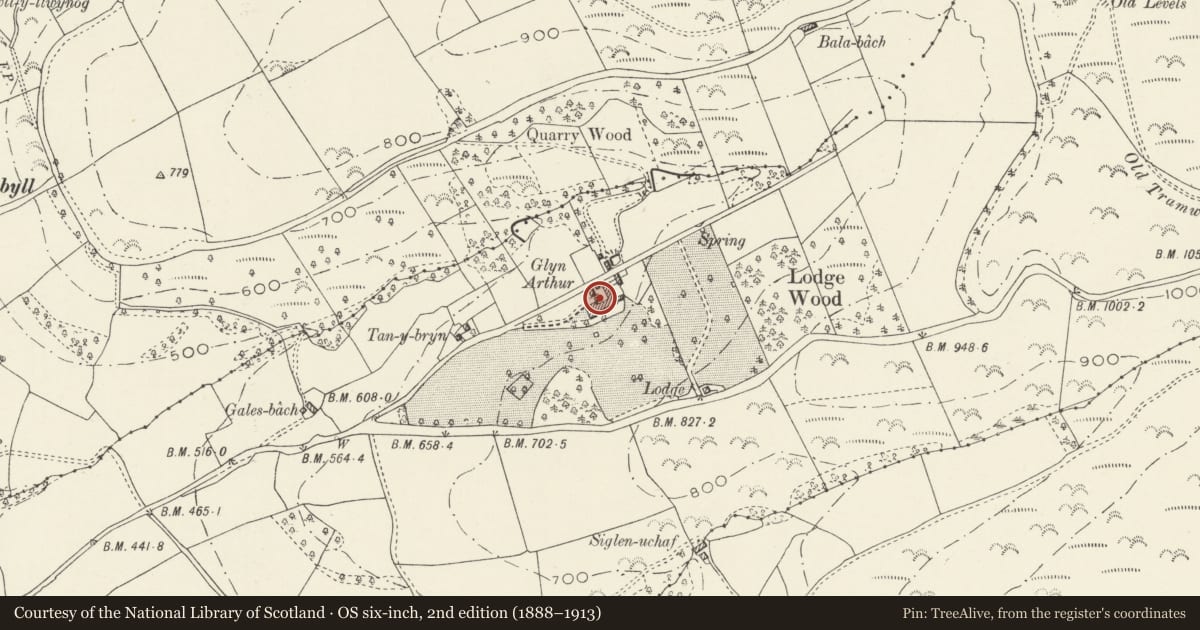 Ordnance Survey six-inch map, 2nd edition (1888–1913) covering the location of Domestic outbuilding at Glyn Arthur, Llandyrnog, Denbighshire, with a pin at the register's coordinates
