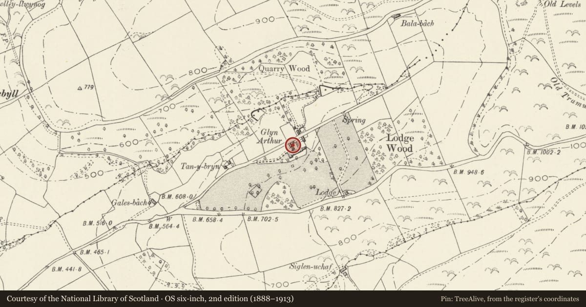 Ordnance Survey six-inch map, 2nd edition (1888–1913) covering the location of Cartshed at Glyn Arthur, Llandyrnog, Denbighshire, with a pin at the register's coordinates