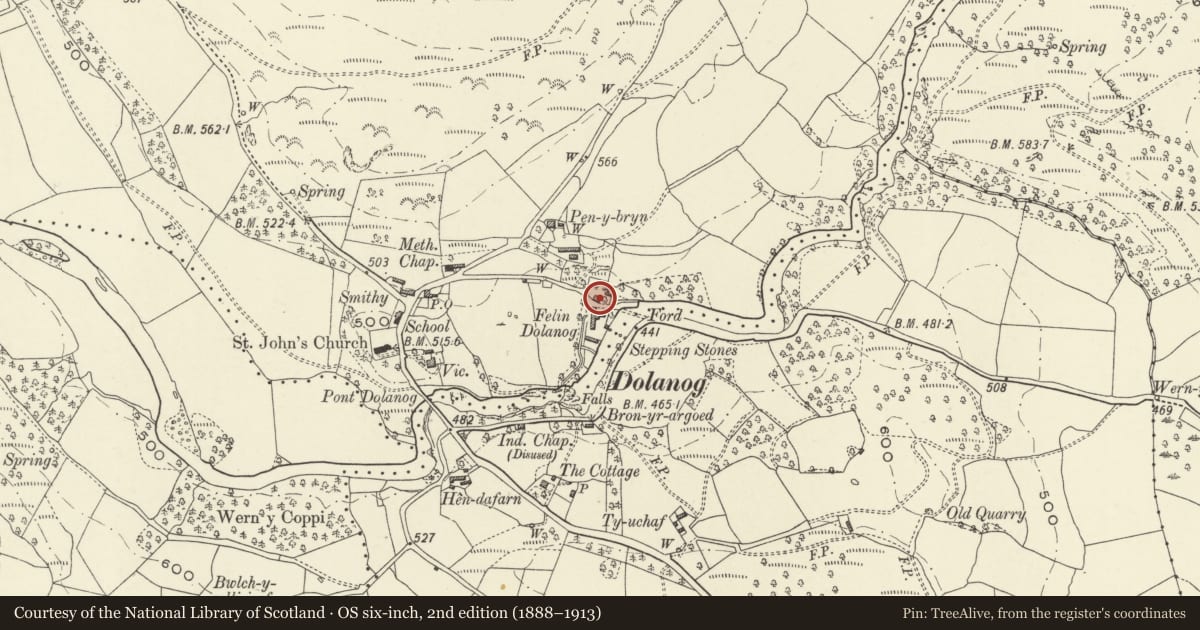 Ordnance Survey six-inch map, 2nd edition (1888–1913) covering the location of Mill Farm (Felin Dolanog), Llanfihangel, Powys, with a pin at the register's coordinates