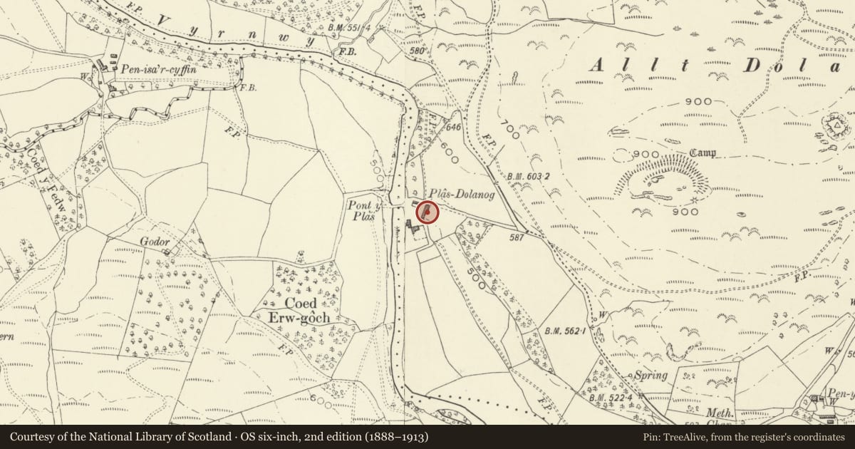Ordnance Survey six-inch map, 2nd edition (1888–1913) covering the location of Agricultural Range at Plas-Dolanog, Llanfihangel, Powys, with a pin at the register's coordinates