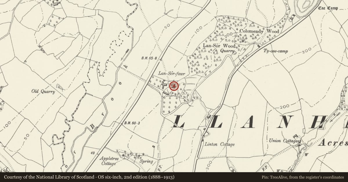 Ordnance Survey six-inch map, 2nd edition (1888–1913) covering the location of Llansor Fawr (Great Llansor), Llangybi, Monmouthshire, with a pin at the register's coordinates