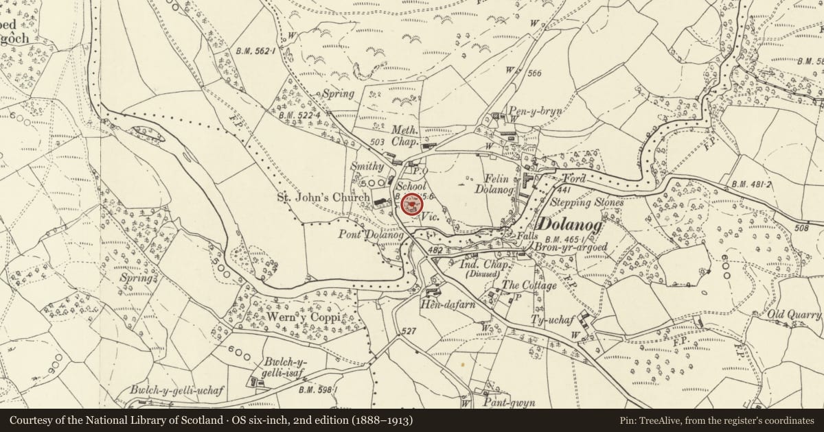 Ordnance Survey six-inch map, 2nd edition (1888–1913) covering the location of Ty Efyrnwy (former Vicarage) including Coach House, Llanfihangel, Powys, with a pin at the register's coordinates