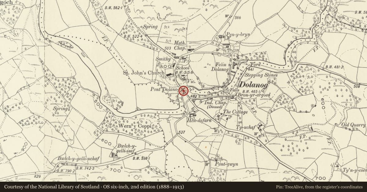 Ordnance Survey six-inch map, 2nd edition (1888–1913) covering the location of Old Pont Dolanog, Llanfihangel, Powys, with a pin at the register's coordinates