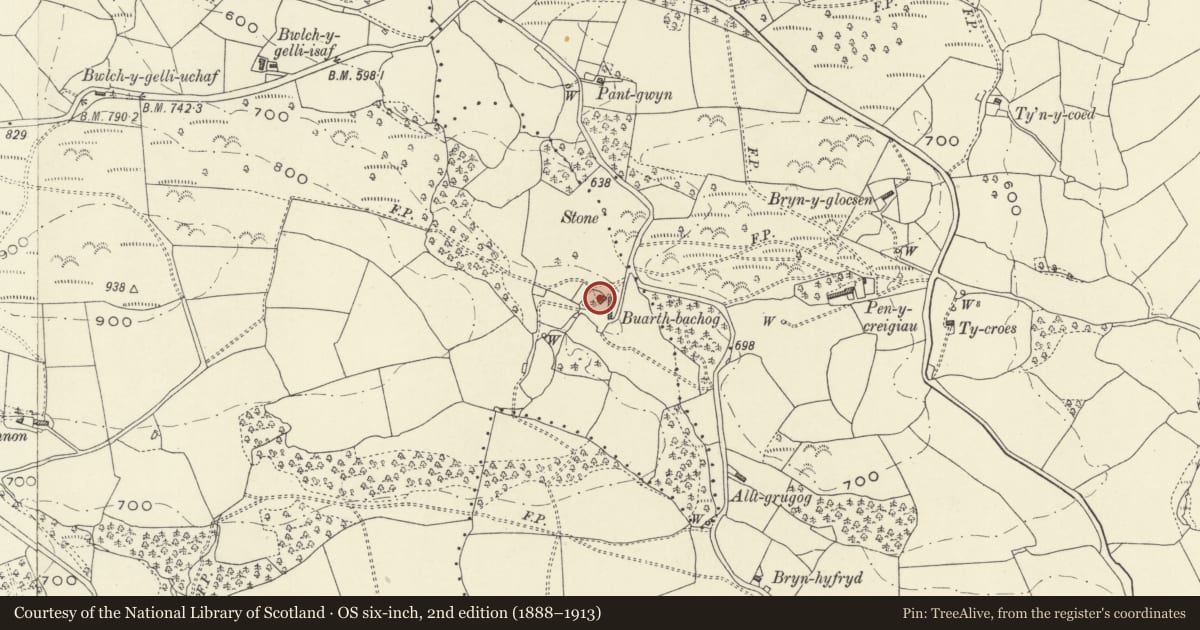 Ordnance Survey six-inch map, 2nd edition (1888–1913) covering the location of Buarth-bachog, Llanfihangel, Powys, with a pin at the register's coordinates