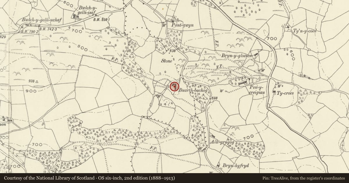 Ordnance Survey six-inch map, 2nd edition (1888–1913) covering the location of Buarth-bachog Agricultural Range, Llanfihangel, Powys, with a pin at the register's coordinates