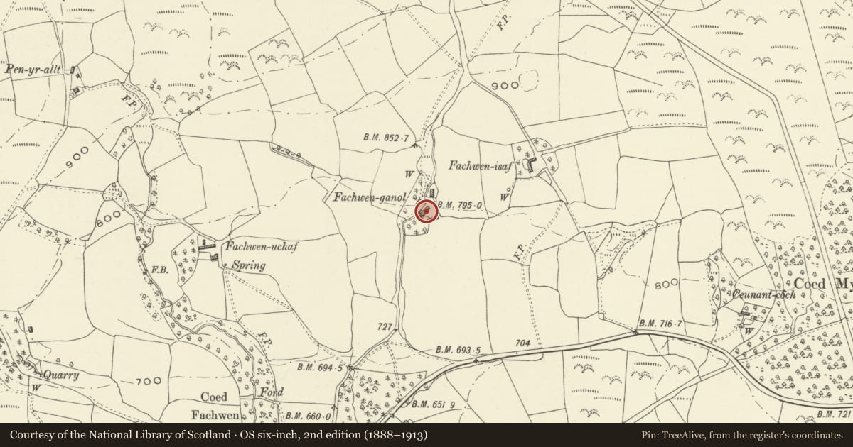 Ordnance Survey six-inch map, 2nd edition (1888–1913) covering the location of Fachwen-ganol, Llanfihangel, Powys, with a pin at the register's coordinates