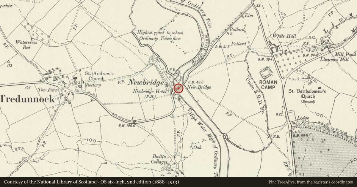 Ordnance Survey six-inch map, 2nd edition (1888–1913) covering the location of New Bridge, Llangybi, Monmouthshire, with a pin at the register's coordinates