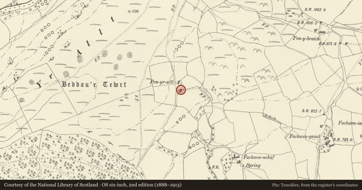 Ordnance Survey six-inch map, 2nd edition (1888–1913) covering the location of Pen-yr-allt, Llanfihangel, Powys, with a pin at the register's coordinates