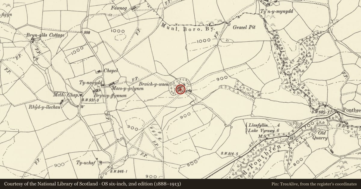 Ordnance Survey six-inch map, 2nd edition (1888–1913) covering the location of Braich-y-waen Farmhouse with attached Stable and Sties, Llanfihangel, Powys, with a pin at the register's coordinates