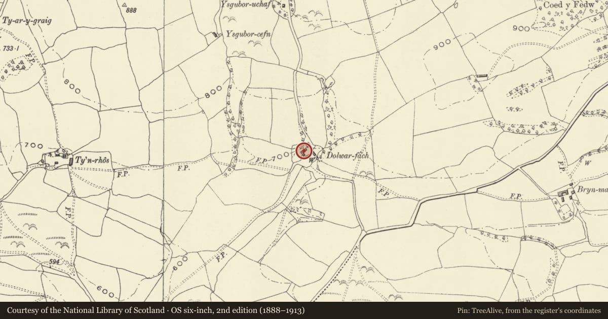 Ordnance Survey six-inch map, 2nd edition (1888–1913) covering the location of Outbuilding to West of Farmyard, Dolwar-fach, Llanfihangel, Powys, with a pin at the register's coordinates