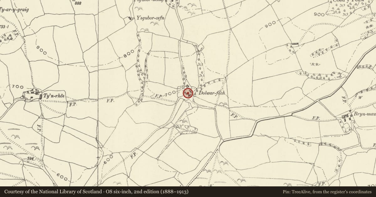 Ordnance Survey six-inch map, 2nd edition (1888–1913) covering the location of Outbuilding to South of Farmyard, Dolwar-fach, Llanfihangel, Powys, with a pin at the register's coordinates