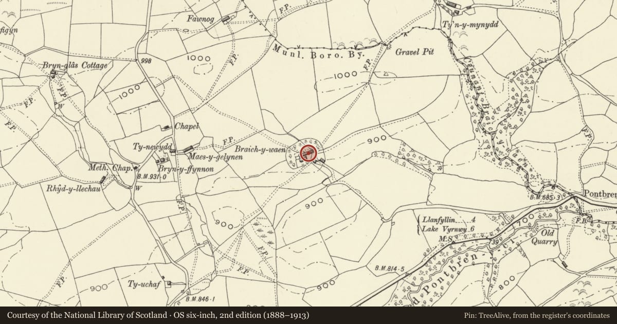 Ordnance Survey six-inch map, 2nd edition (1888–1913) covering the location of Braich-y-waen farm range, Llanfihangel, Powys, with a pin at the register's coordinates