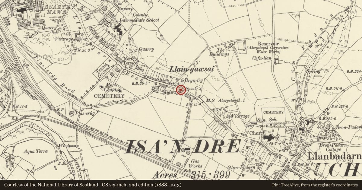 Ordnance Survey six-inch map, 2nd edition (1888–1913) covering the location of Meiros, Llanbadarn Fawr, Ceredigion, with a pin at the register's coordinates