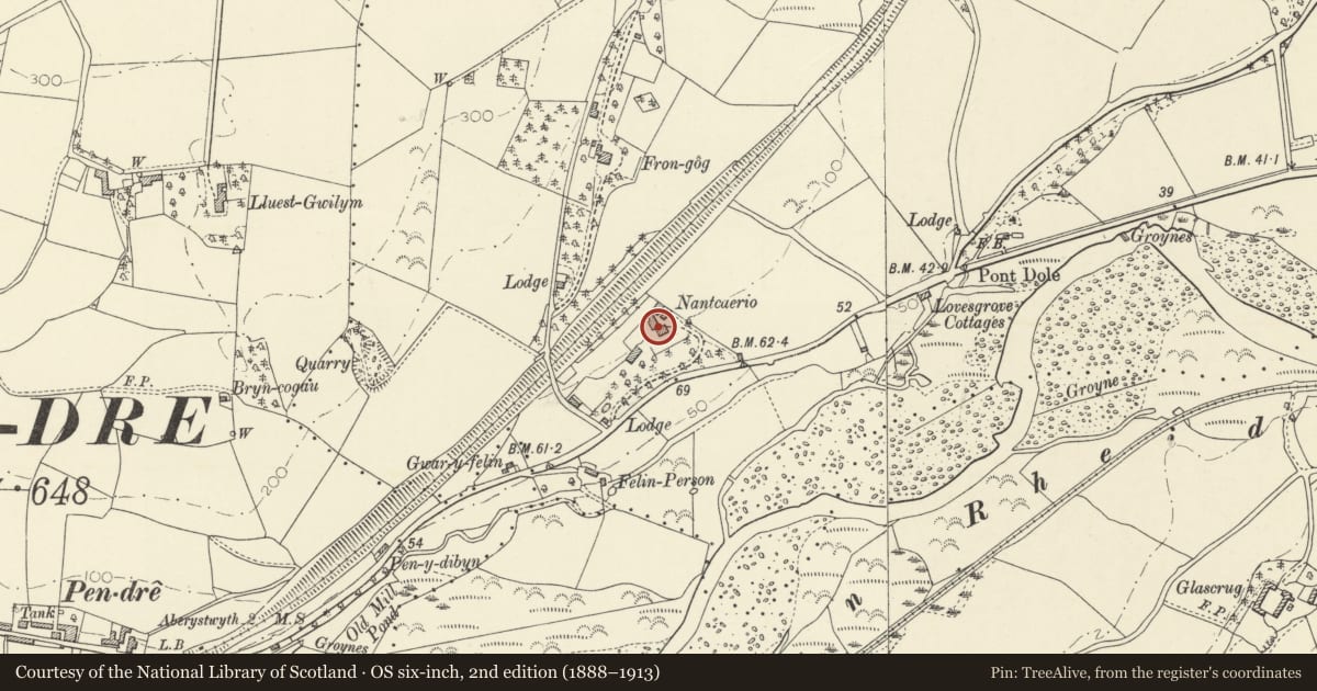 Ordnance Survey six-inch map, 2nd edition (1888–1913) covering the location of Nantcaerio, Llanbadarn Fawr, Ceredigion, with a pin at the register's coordinates