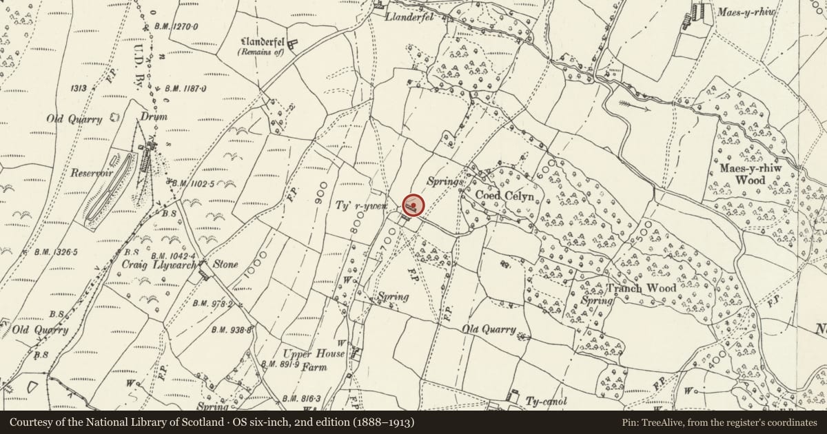 Ordnance Survey six-inch map, 2nd edition (1888–1913) covering the location of Barn at Ty'r Ywen Farm, Fairwater, Torfaen, with a pin at the register's coordinates