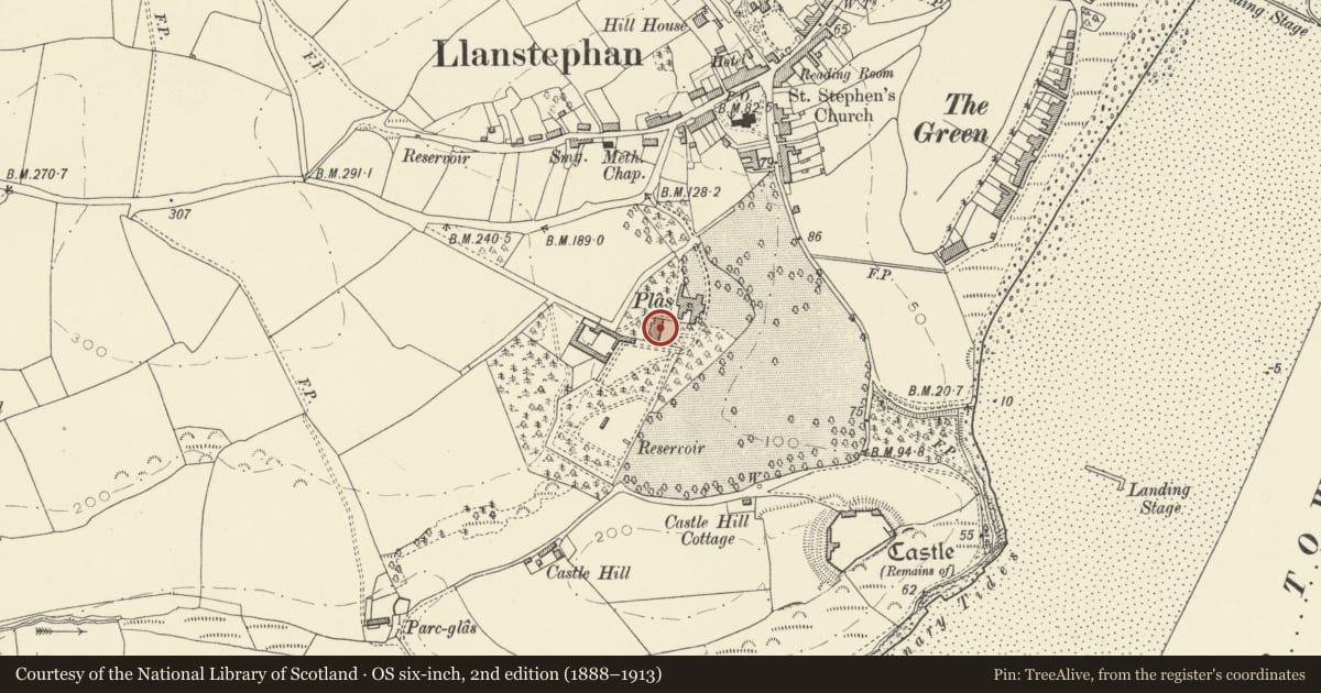 Ordnance Survey six-inch map, 2nd edition (1888–1913) covering the location of Coach House and Stable Range at Y Plas, Llansteffan, Carmarthenshire, with a pin at the register's coordinates