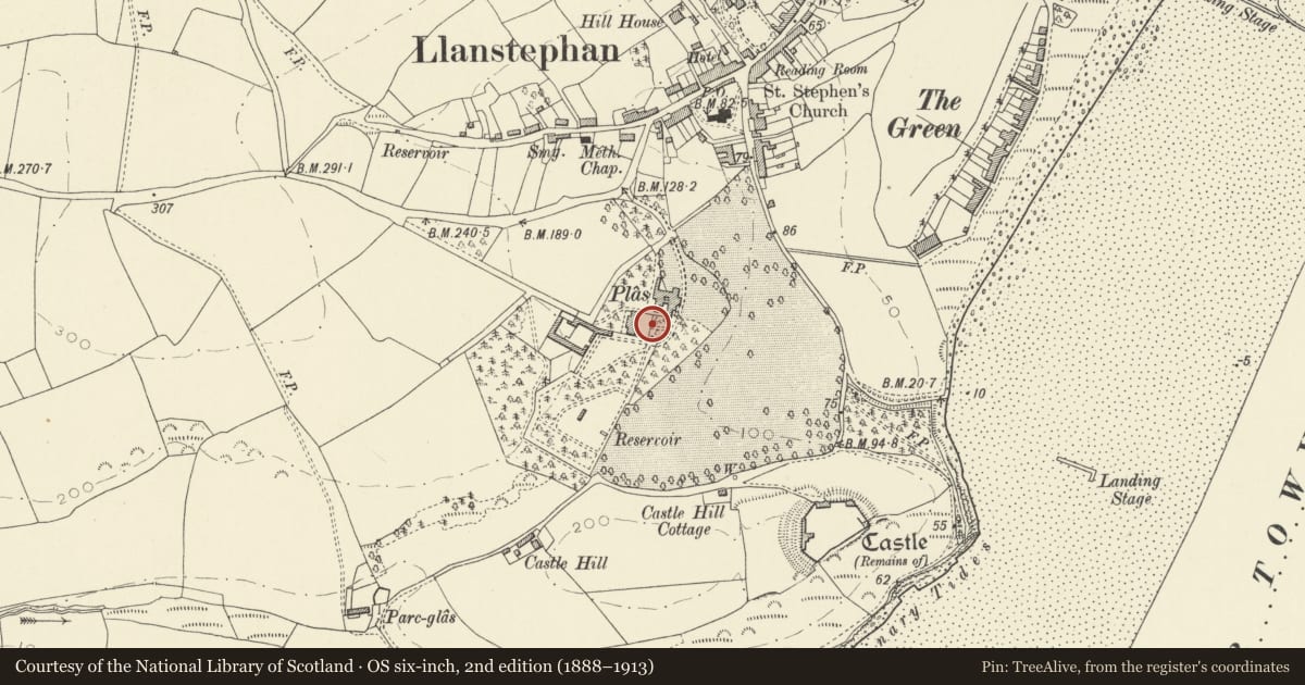 Ordnance Survey six-inch map, 2nd edition (1888–1913) covering the location of Wall and gatepiers to stable court at Y Plas, Llansteffan, Carmarthenshire, with a pin at the register's coordinates