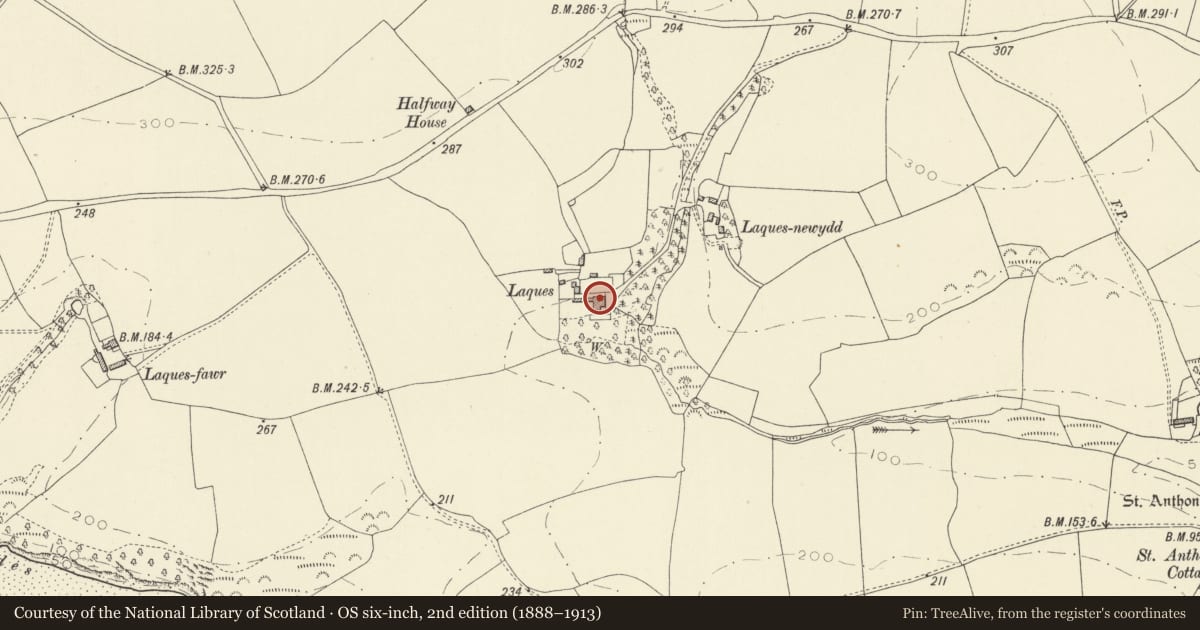 Ordnance Survey six-inch map, 2nd edition (1888–1913) covering the location of Laques, Llansteffan, Carmarthenshire, with a pin at the register's coordinates