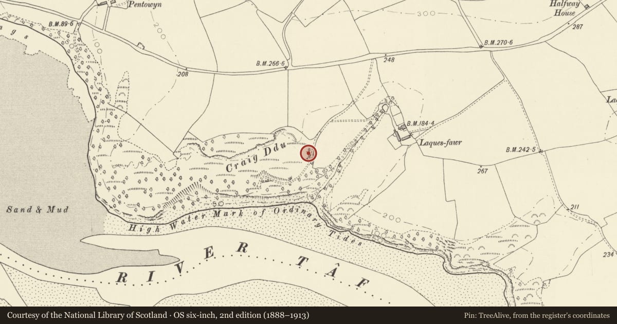 Ordnance Survey six-inch map, 2nd edition (1888–1913) covering the location of Lime Kilns, Llansteffan, Carmarthenshire, with a pin at the register's coordinates