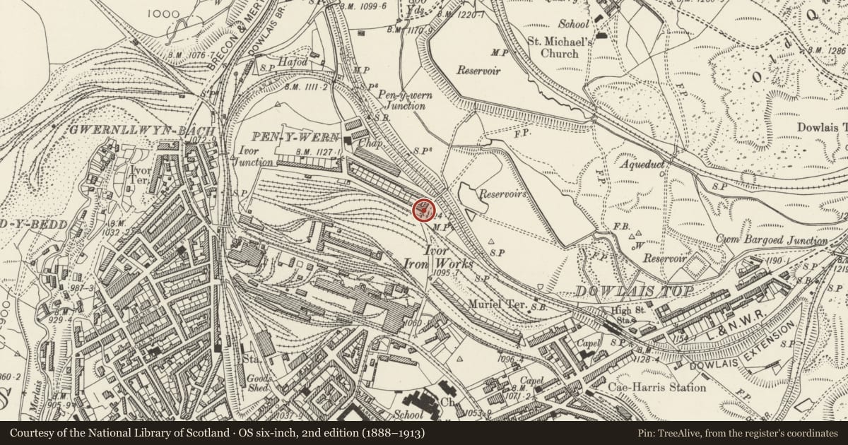 Ordnance Survey six-inch map, 2nd edition (1888–1913) covering the location of Lower Row, Dowlais, Merthyr Tydfil, with a pin at the register's coordinates