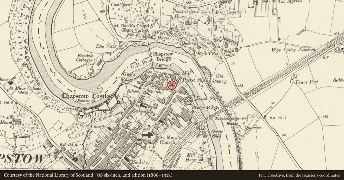 Ordnance Survey six-inch map, 2nd edition (1888–1913) covering the location of Silverpill Lodge, Chepstow, Monmouthshire, with a pin at the register's coordinates