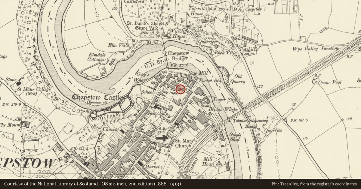 Ordnance Survey six-inch map, 2nd edition (1888–1913) covering the location of 14&15 Ann Street, Chepstow, Monmouthshire, with a pin at the register's coordinates
