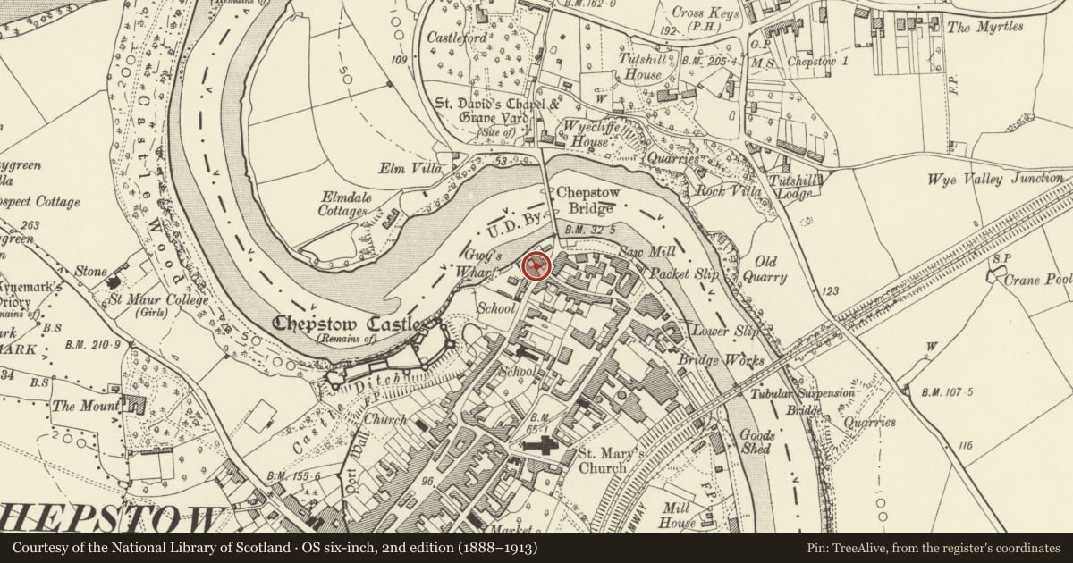 Ordnance Survey six-inch map, 2nd edition (1888–1913) covering the location of Afon Gwy, Chepstow, Monmouthshire, with a pin at the register's coordinates