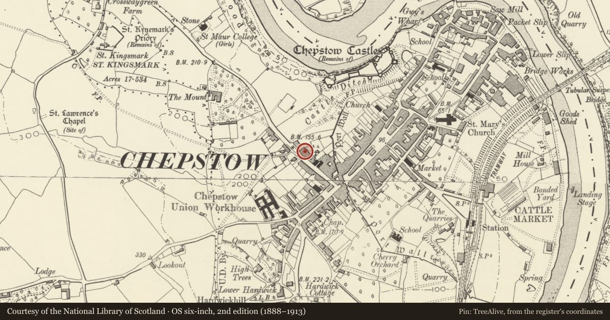Ordnance Survey six-inch map, 2nd edition (1888–1913) covering the location of Castle Court, Chepstow, Monmouthshire, with a pin at the register's coordinates
