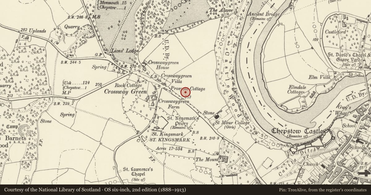 Ordnance Survey six-inch map, 2nd edition (1888–1913) covering the location of White House, Chepstow, Monmouthshire, with a pin at the register's coordinates