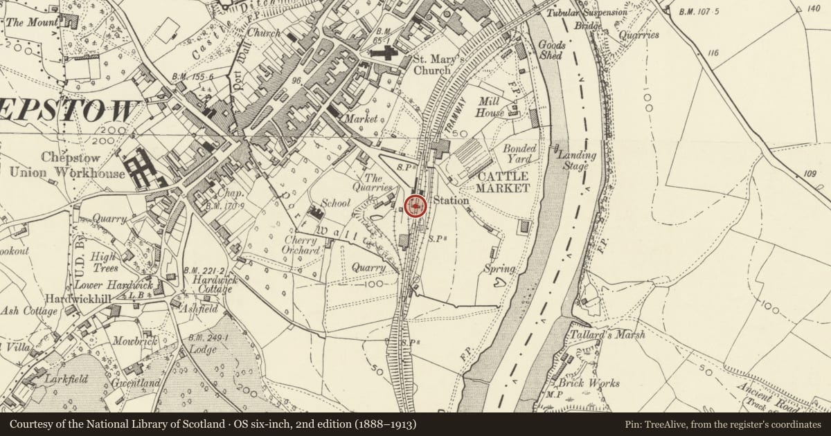 Ordnance Survey six-inch map, 2nd edition (1888–1913) covering the location of Footbridge at Chepstow Station, Monmouthshire, with a pin at the register's coordinates