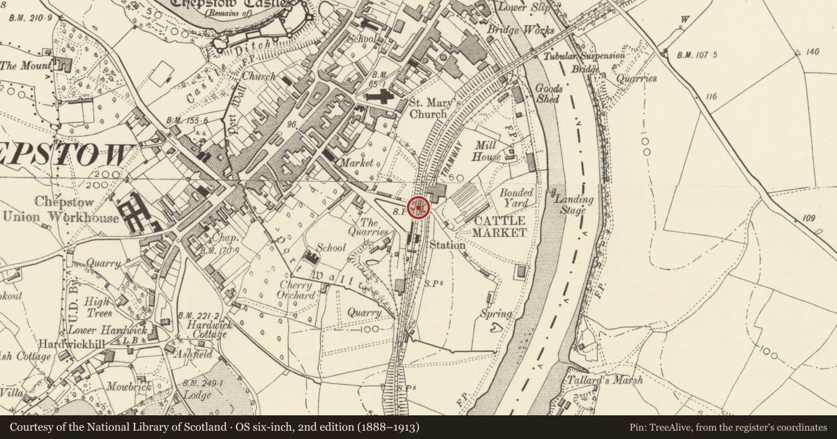 Ordnance Survey six-inch map, 2nd edition (1888–1913) covering the location of Railway Bridge by Chepstow Station, Monmouthshire, with a pin at the register's coordinates