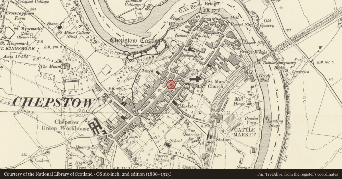 Ordnance Survey six-inch map, 2nd edition (1888–1913) covering the location of 6 St Mary Street, Chepstow, Monmouthshire, with a pin at the register's coordinates