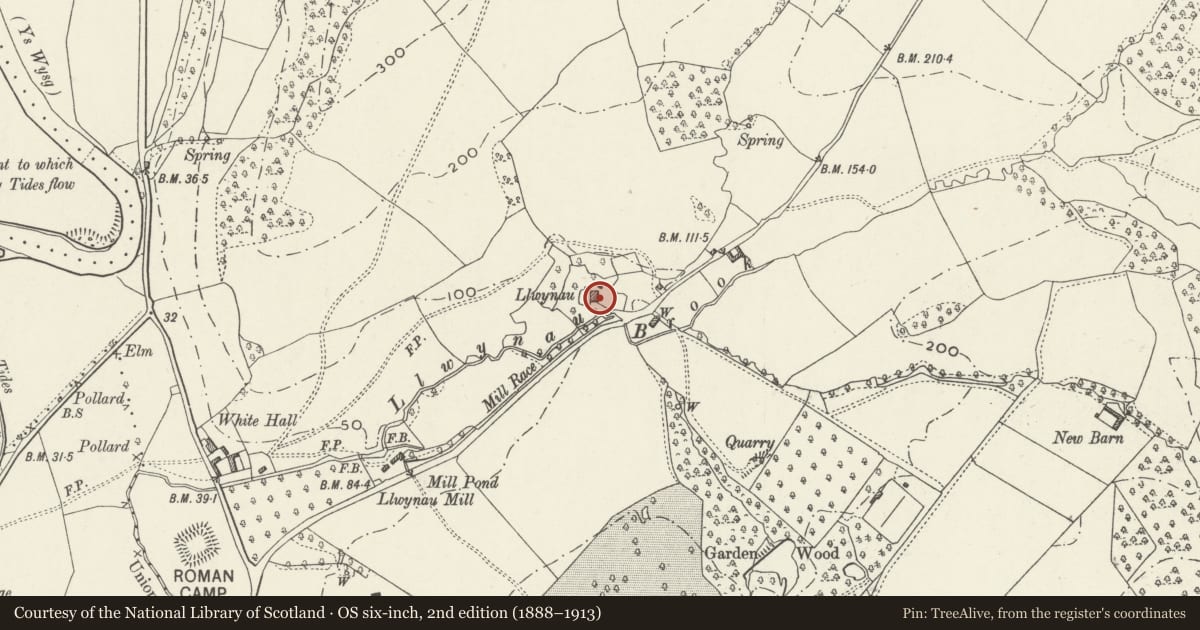 Ordnance Survey six-inch map, 2nd edition (1888–1913) covering the location of Llwynau, Llantrisant Fawr, Monmouthshire, with a pin at the register's coordinates