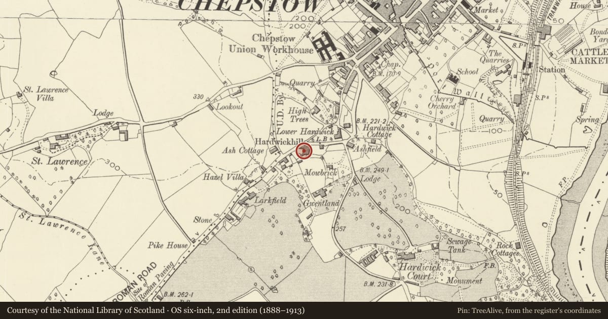 Ordnance Survey six-inch map, 2nd edition (1888–1913) covering the location of Stratheden, Chepstow, Monmouthshire, with a pin at the register's coordinates