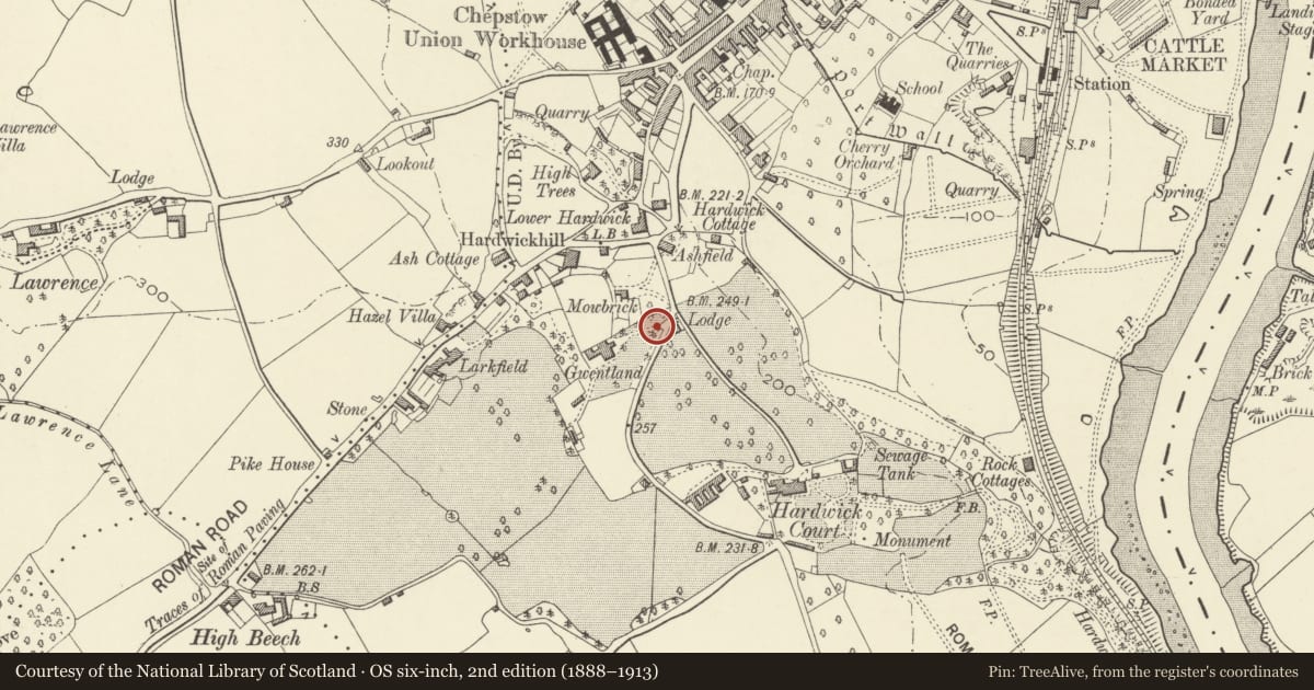 Ordnance Survey six-inch map, 2nd edition (1888–1913) covering the location of Gateway at Gwentlands, Chepstow, Monmouthshire, with a pin at the register's coordinates