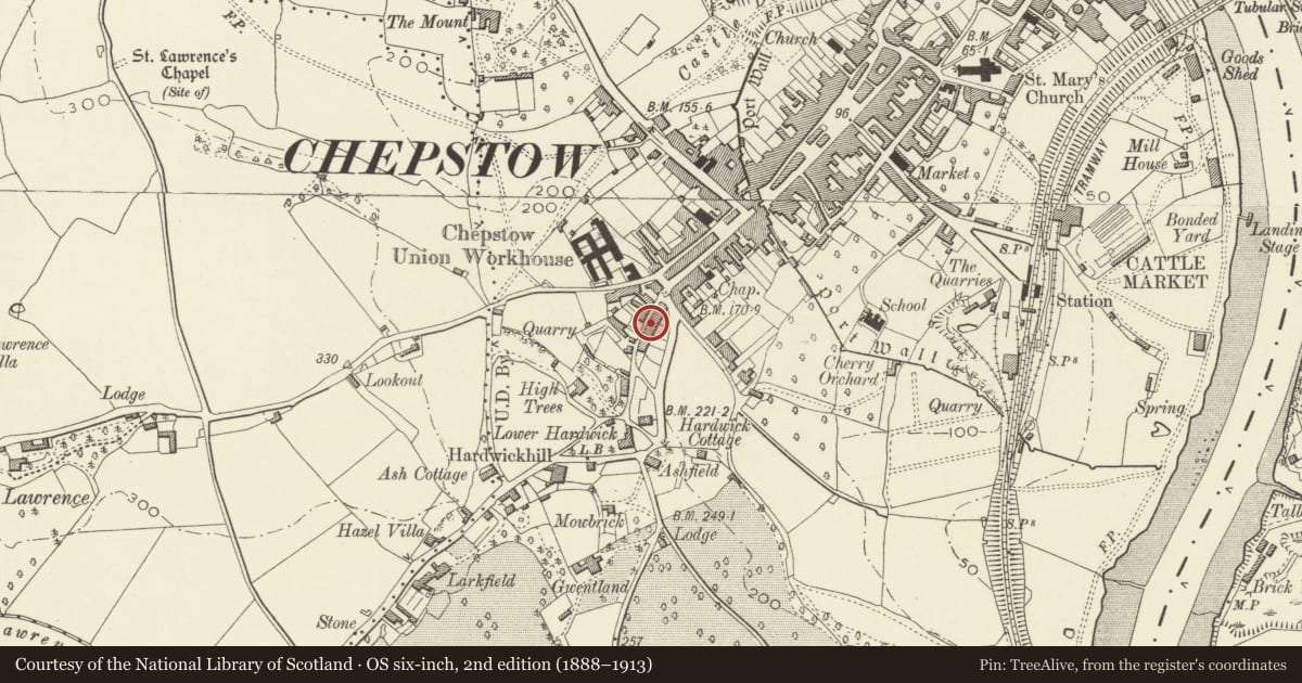 Ordnance Survey six-inch map, 2nd edition (1888–1913) covering the location of 6 Mount Pleasant, Chepstow, Monmouthshire, with a pin at the register's coordinates
