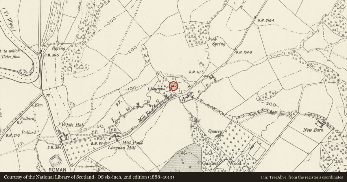 Ordnance Survey six-inch map, 2nd edition (1888–1913) covering the location of Outbuilding N of Llwynau, Llantrisant Fawr, Monmouthshire, with a pin at the register's coordinates