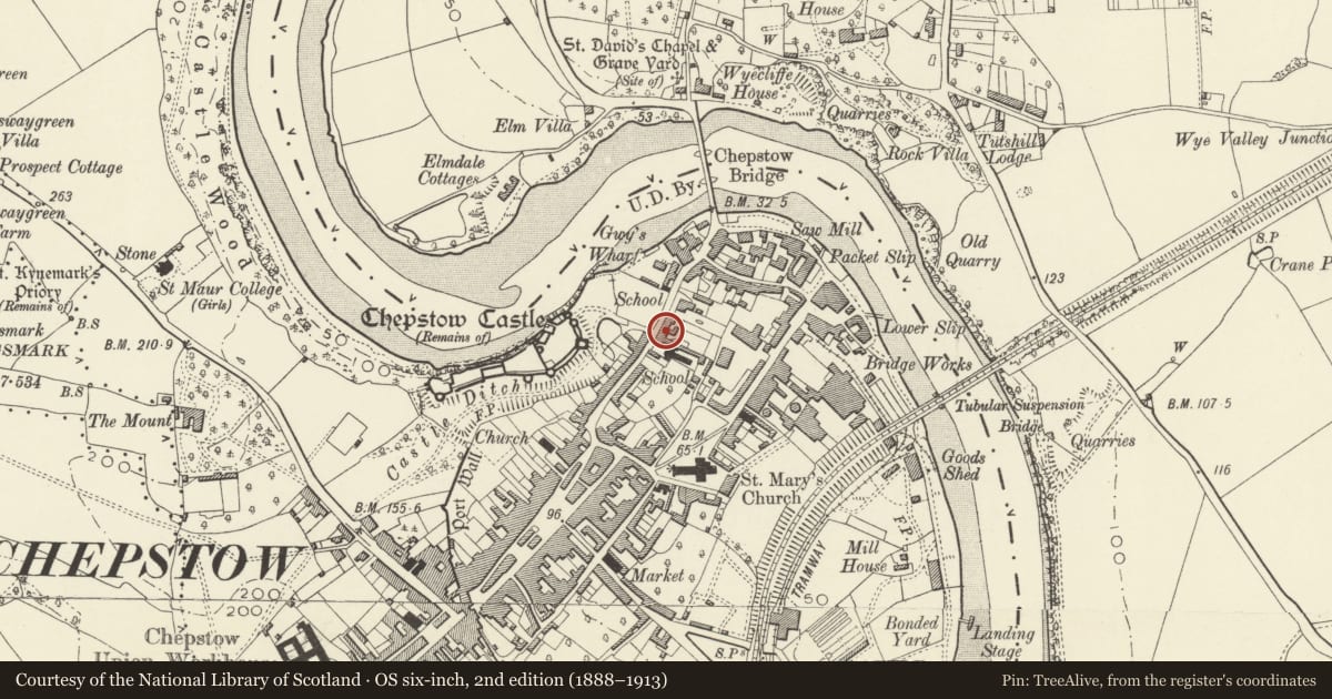 Ordnance Survey six-inch map, 2nd edition (1888–1913) covering the location of 14 Bridge Street, Chepstow, Monmouthshire, with a pin at the register's coordinates