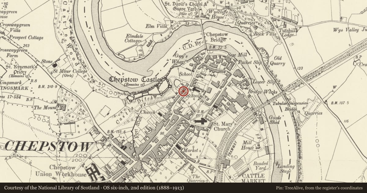 Ordnance Survey six-inch map, 2nd edition (1888–1913) covering the location of Castle Terrace, numbers 33a-47 consec, Chepstow, Monmouthshire, with a pin at the register's coordinates