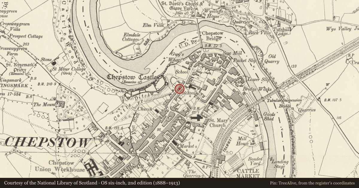 Ordnance Survey six-inch map, 2nd edition (1888–1913) covering the location of Castle Terrace, numbers 33a-47 consec, Chepstow, Monmouthshire, with a pin at the register's coordinates