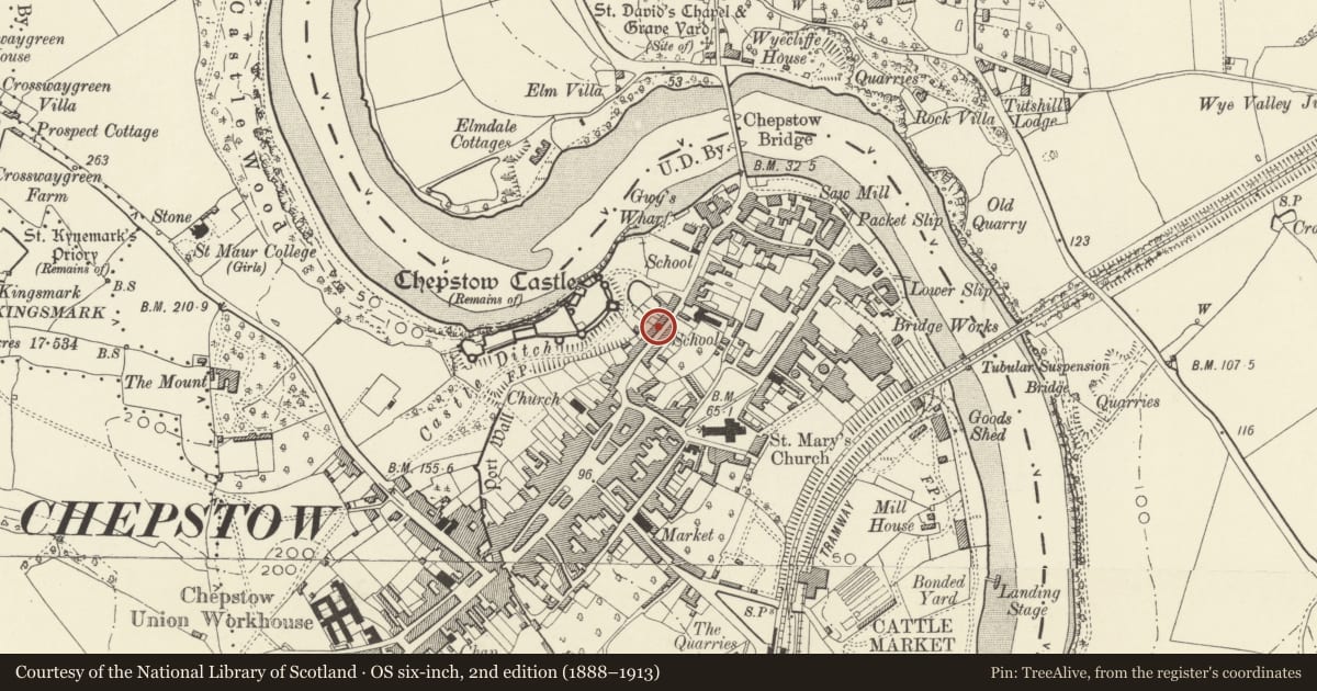 Ordnance Survey six-inch map, 2nd edition (1888–1913) covering the location of Castle Terrace, numbers 33a-47 consec, Chepstow, Monmouthshire, with a pin at the register's coordinates
