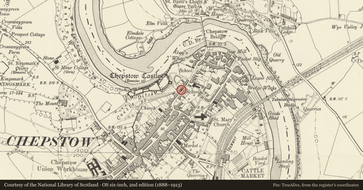 Ordnance Survey six-inch map, 2nd edition (1888–1913) covering the location of Castle Terrace, numbers 33a-47 consec, Chepstow, Monmouthshire, with a pin at the register's coordinates