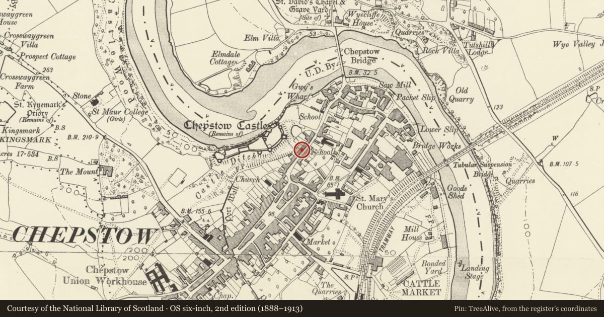 Ordnance Survey six-inch map, 2nd edition (1888–1913) covering the location of Castle Terrace, numbers 33a-47 consec, Chepstow, Monmouthshire, with a pin at the register's coordinates