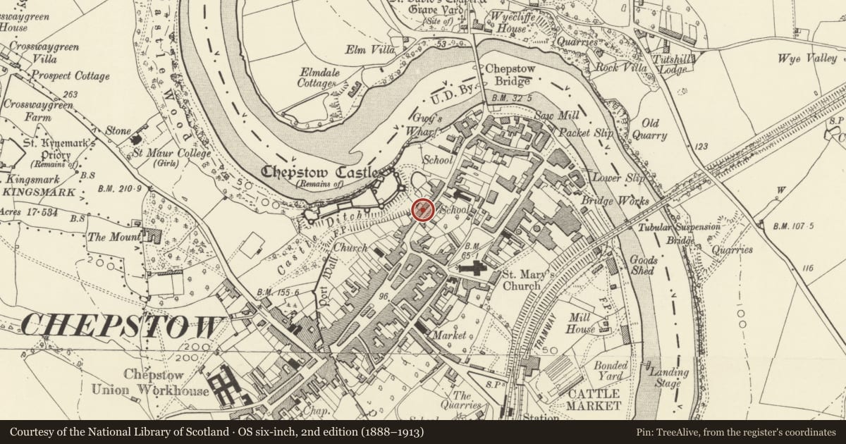 Ordnance Survey six-inch map, 2nd edition (1888–1913) covering the location of Castle Terrace, numbers 33a-47 consec, Chepstow, Monmouthshire, with a pin at the register's coordinates
