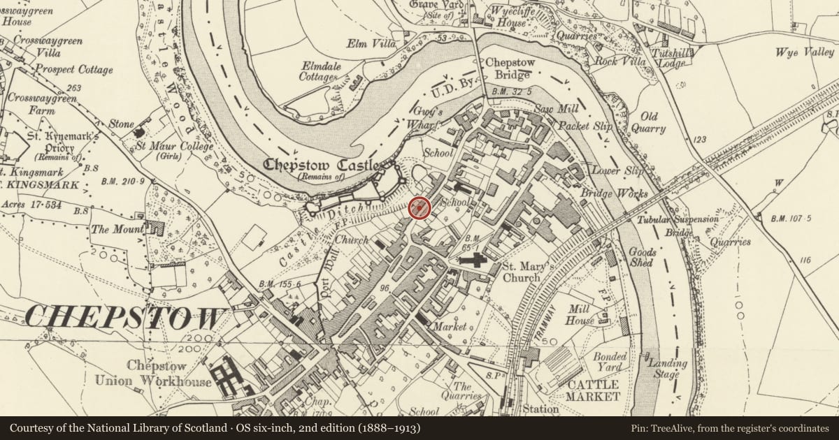 Ordnance Survey six-inch map, 2nd edition (1888–1913) covering the location of Castle Terrace, numbers 33a-47 consec, Chepstow, Monmouthshire, with a pin at the register's coordinates