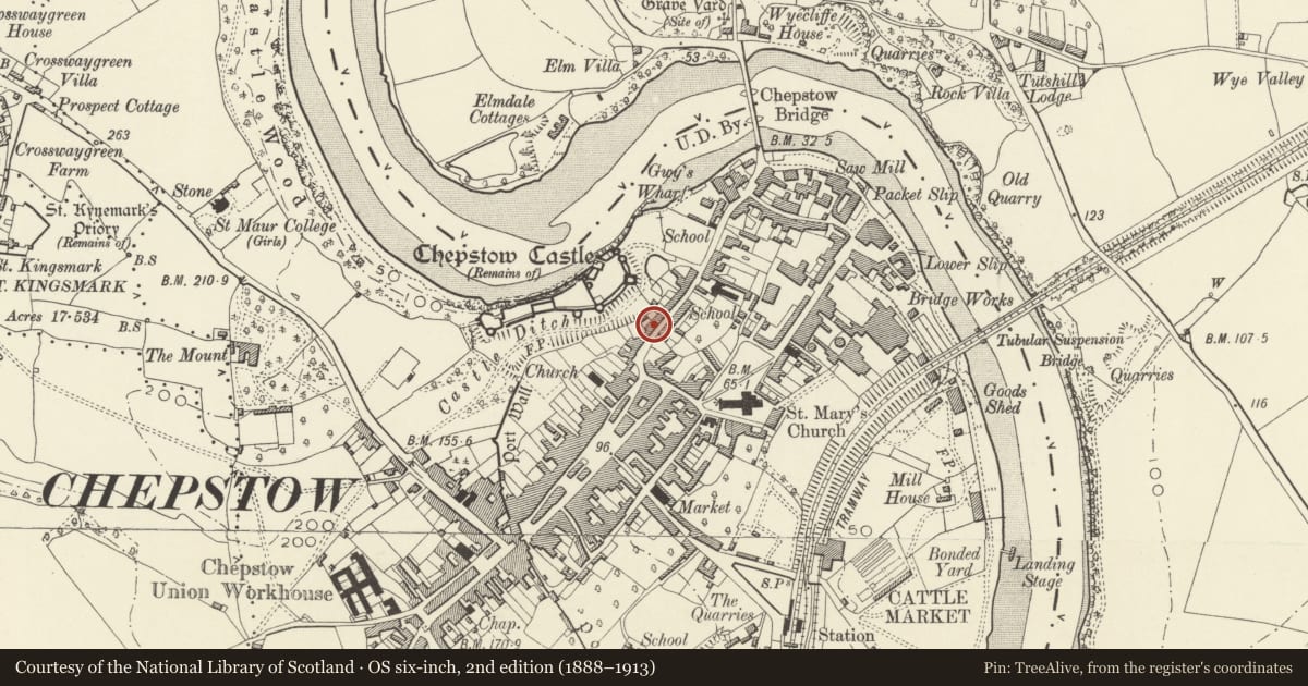 Ordnance Survey six-inch map, 2nd edition (1888–1913) covering the location of Castle Terrace, numbers 33a-47 consec, Chepstow, Monmouthshire, with a pin at the register's coordinates