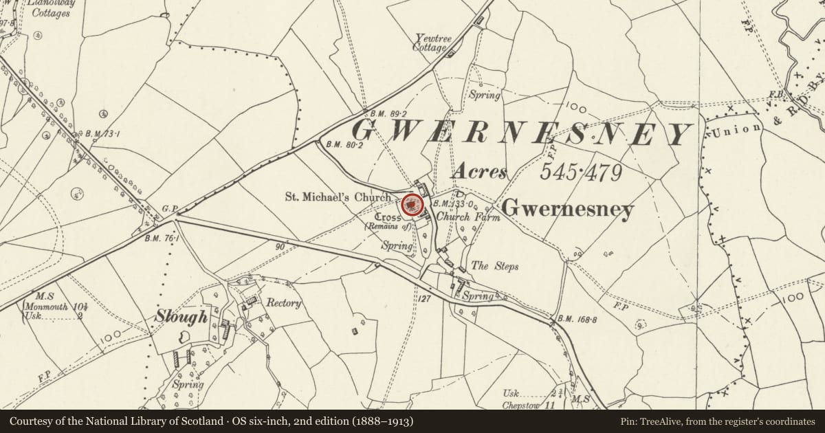 Ordnance Survey six-inch map, 2nd edition (1888–1913) covering the location of Church of St Michael and All Angels, Llantrisant Fawr, Monmouthshire, with a pin at the register's coordinates